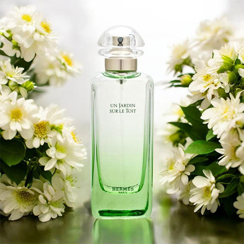 HERMES UN JARDIN SUR LE TOIT EDT 100ML | Essencias Japan
